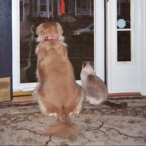 Meet your Posher, Michele